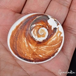 Buy Shankh & Chakra Online – Puja, Vastu & Spiritual Products