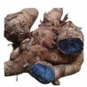 Buy Kali Haldi Online – Black Turmeric for Tantra & Protection